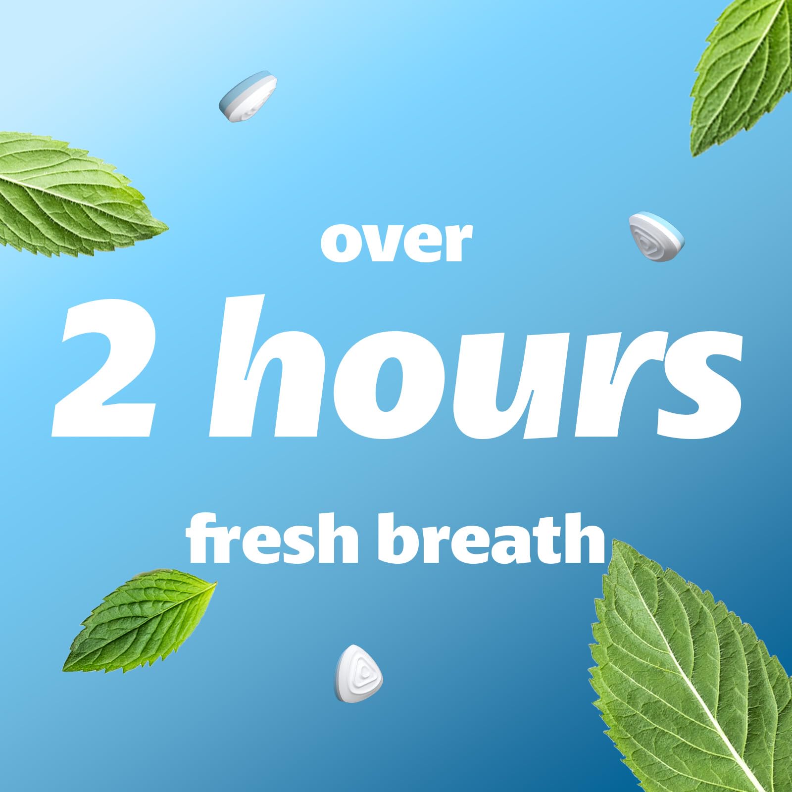 Smint Sugar Free Mints - Long Lasting 2 Hour Fresh Breath, 50 Count XXL Peppermint Flavor - 12 Pack Tins | Perfect for Office, Travel & After Meals