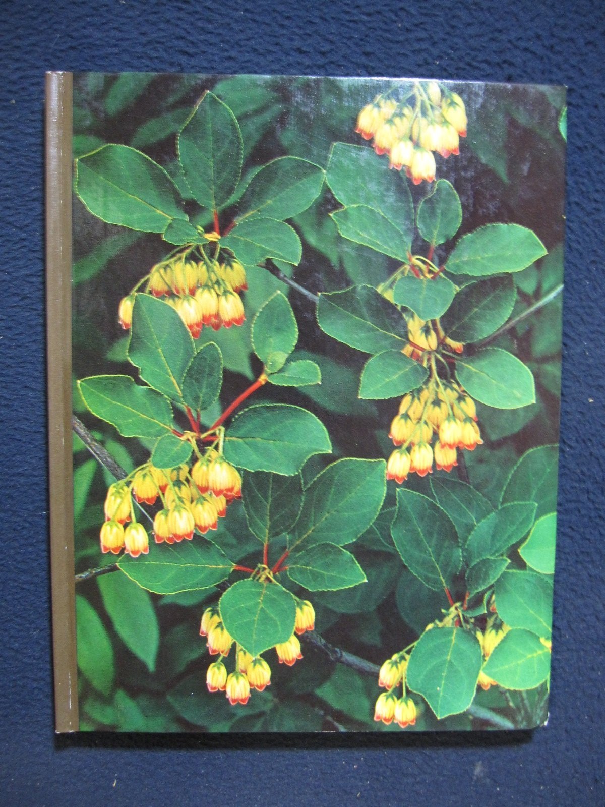 Time Life Encyclopedia of Gardening: Flowering Shrubs - Complete Guide to Beautiful Garden Shrubs | Perfect for Landscaping, Backyard Decor & Outdoor Gardening Projects