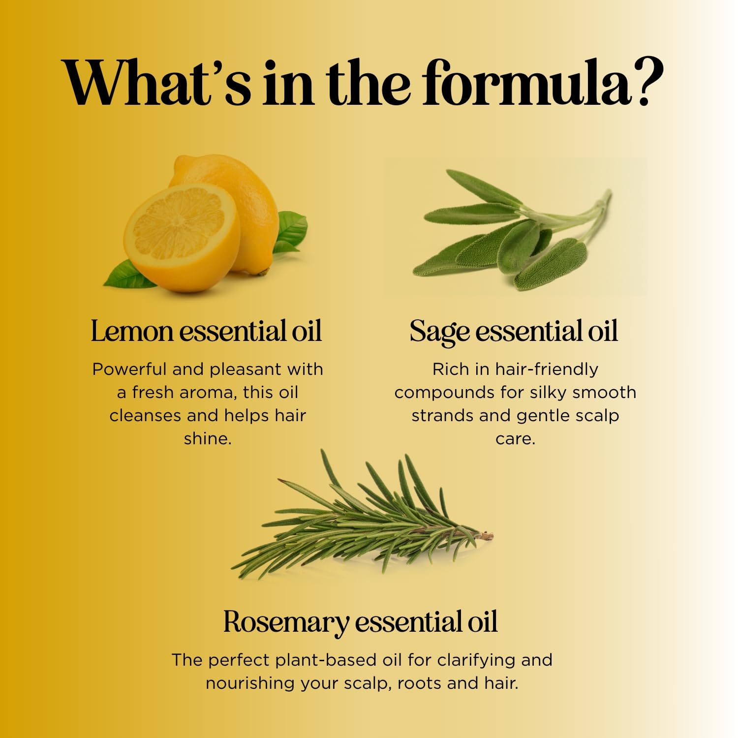 Lemon Sage Clarifying Shampoo for Oily Hair - Sulfate Free Deep Cleansing Shampoo with Keratin & Tea Tree Oil for Scalp Care - Rosemary Shampoo for Men & Women | Perfect for Daily Use & Removing Product Buildup
