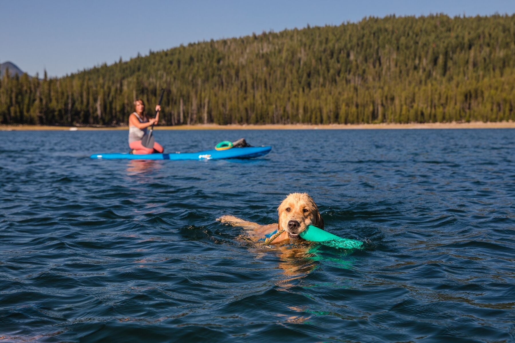 Ruffwear Lunker Floating Foam Dog Toy for Water Play - Campfire Orange, Durable & Fun Chew Toy for Swimming, Fetch & Outdoor Adventures