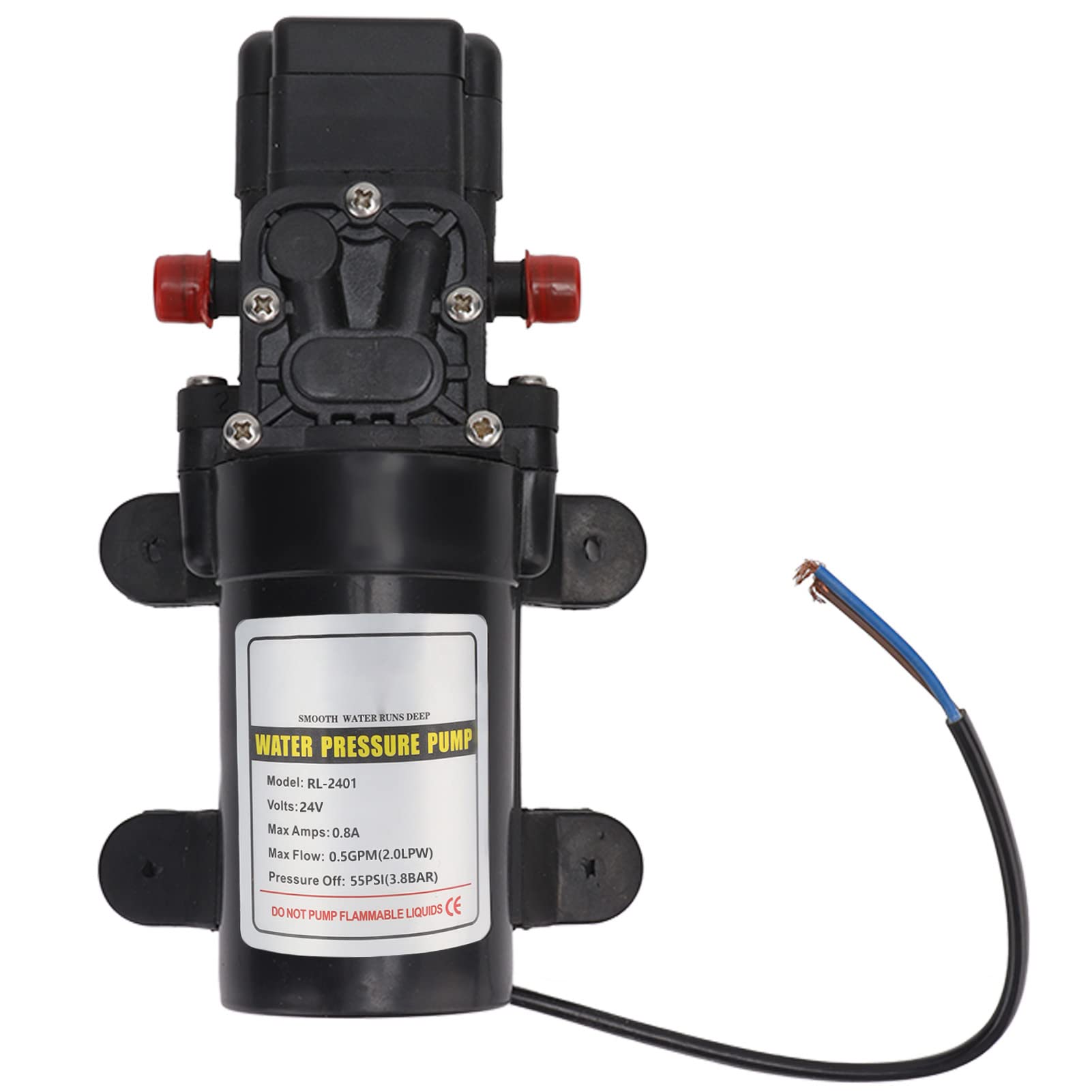 12V 24V DC Diaphragm Water Pump - High Pressure Self-Priming Water Pump for Car Wash, RV, Marine, Irrigation & Automotive Supplies (RL-2401 24V) | Perfect for Off-Grid Camping, Boat Water Systems & Mobile Cleaning Solutions