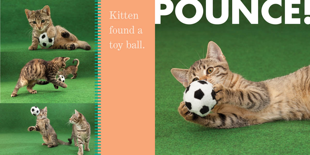 Adorable Kittens Pounce - Playful Kitten Toys for Interactive Fun - Perfect for Cat Playtime & Bonding