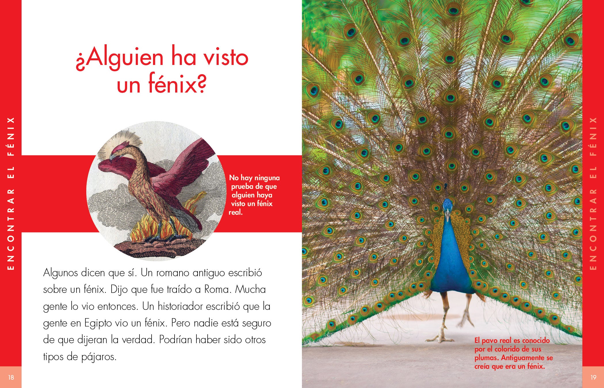 Phoenix Mythical Bird Statue - Handcrafted Home Decor for Living Room, Office & Gift Ideas | Feng Shui & Spiritual Symbol