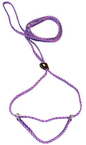 1/4 x 6 Feet Flat Braid Martingale Dog Leash - Raspberry & Sky Blue Spiral Design | Durable Training Leash for Medium to Large Dogs | Perfect for Walking, Training, and Outdoor Adventures