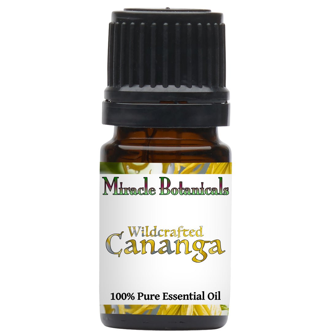 Pure Wildcrafted Cananga Essential Oil (Cananga Odorata var. Macrophylla) - Natural Aromatherapy for Relaxation, Massage & Stress Relief