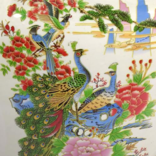 Satsuma Birds