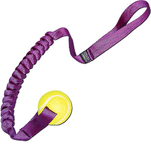 Cetacea Spring Tennis Ball Toy for Dogs - Durable & Bouncy Blue Dog Ball - Perfect for Fetch, Training & Outdoor Play