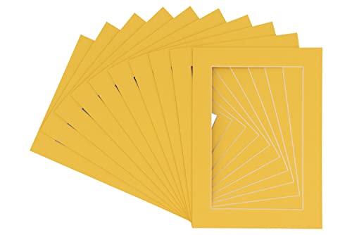 Chamois Yellow