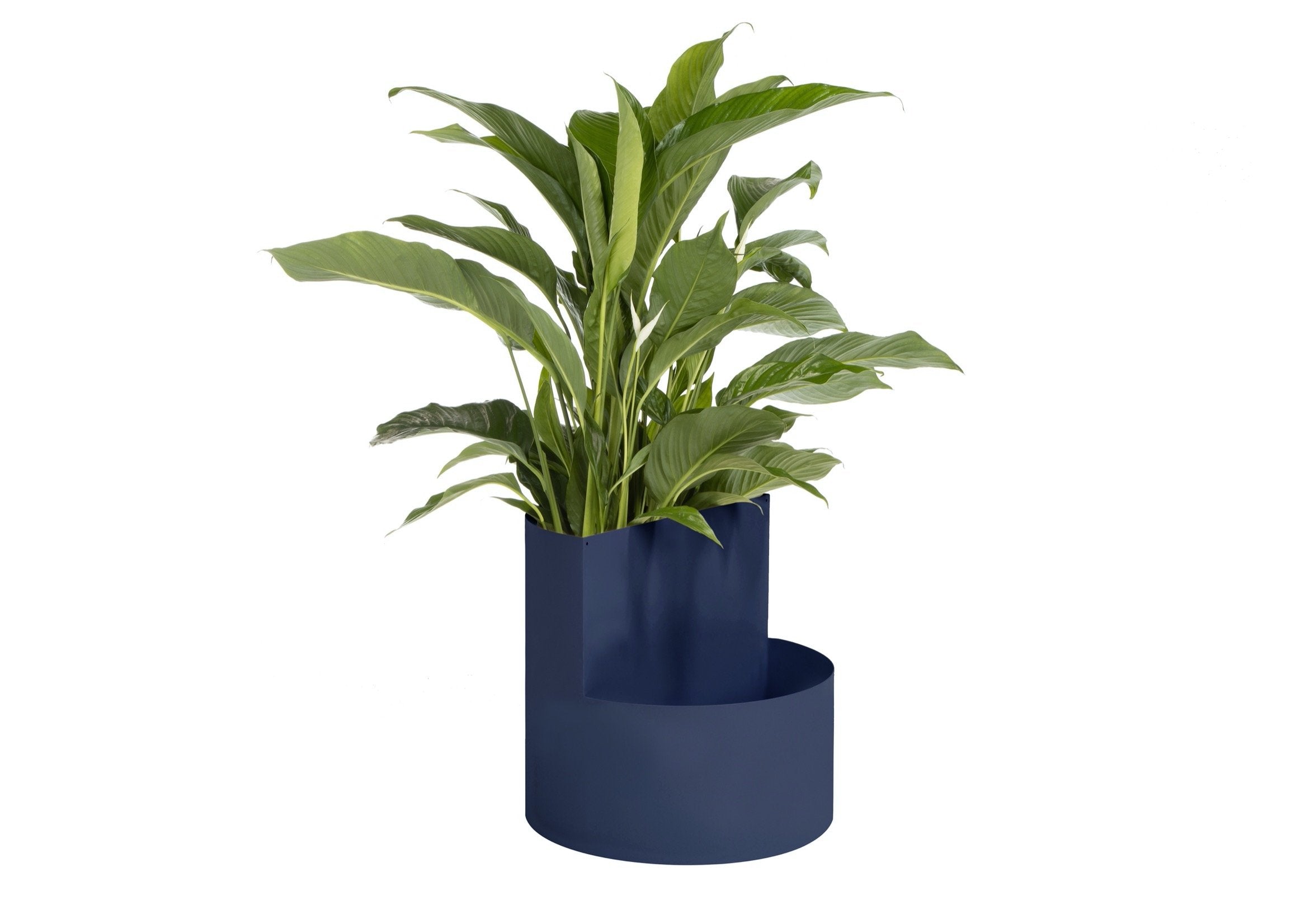 Blue Owal Plant Pot - Modern Decorative Flower Pot for Indoor & Outdoor Plants, Succulents, Herbs - Perfect for Home, Office, Garden Decor