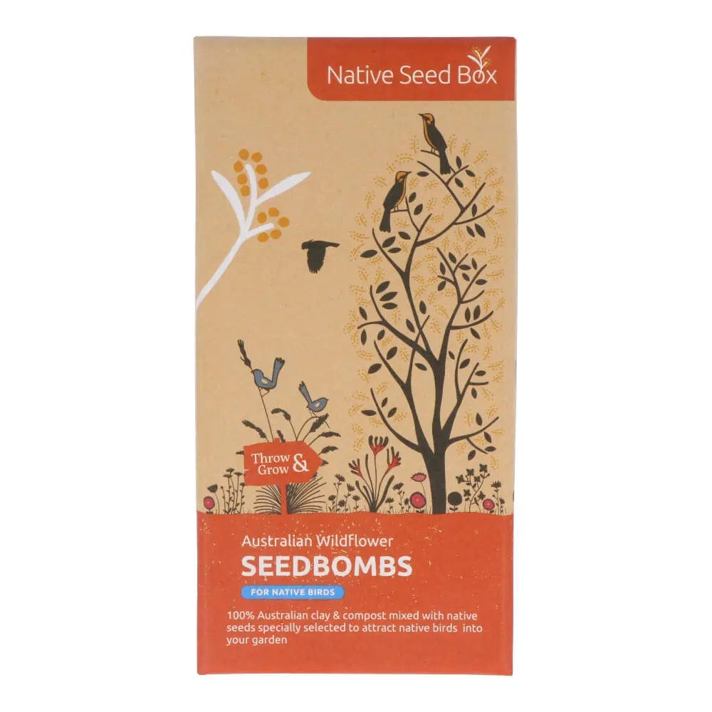 Native Seed Box Seed Bomb Collections - Wildflower & Herb Seed Bombs for Eco-Friendly Gardening, Pollinator Gardens & DIY Landscaping