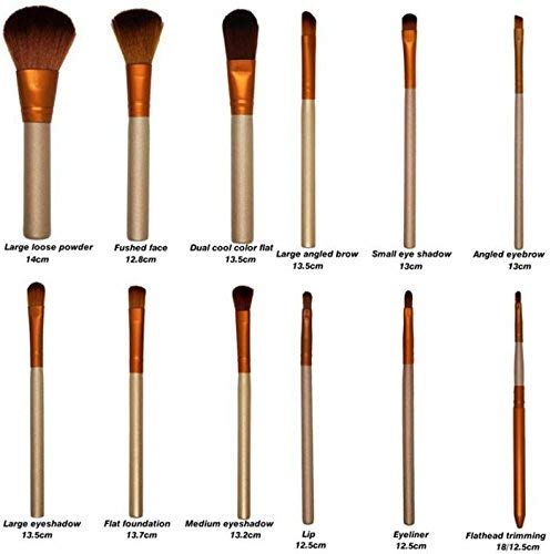 Premium 12-Piece Makeup Brush Set with Silver Storage Box - Soft Bristles for Foundation, Blending, Contouring - Perfect for Professional Makeup Artists & Home Use