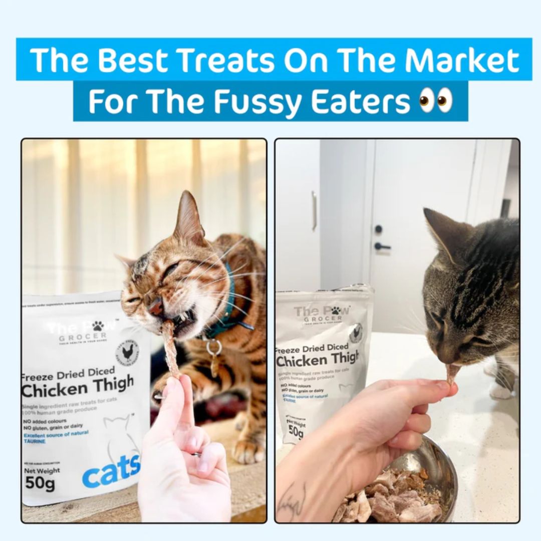 Freeze Dried Chicken Thigh Cat Treats - Grain Free, High Protein Snack for Cats - 50g - Perfect for Training, Rewards & Picky Eaters