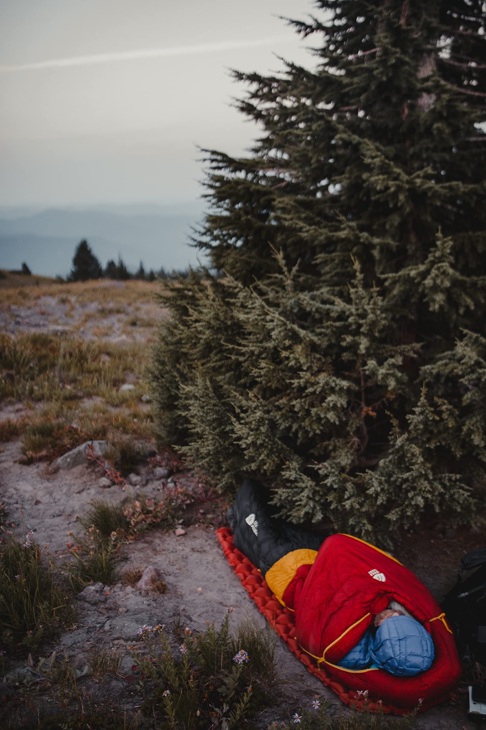 Sierra Designs Nitro 20 Degree 800 Fill DriDown Ultralight Sleeping Bag for Backpacking, Camping & Hiking - Men & Women's Lightweight Down Sleeping Bag Under 2lbs - Perfect for Cold Weather Adventures & Outdoor Exploration