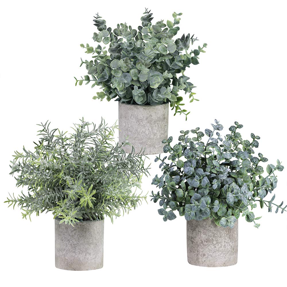 Winlyn Set of 3 Mini Artificial Eucalyptus Plants - Fake Plastic Greenery for Home Office Desk Decor, Bathroom & Shower Room Decorations - Perfect for Farmhouse, Wedding Centerpieces and Shelf Styling