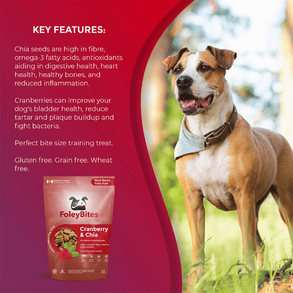 Premium Baked Dog Treats with Cranberry & Chia - Foley Bites - Healthy Snacks for Dogs - Perfect for Training, Rewards & Dental Health