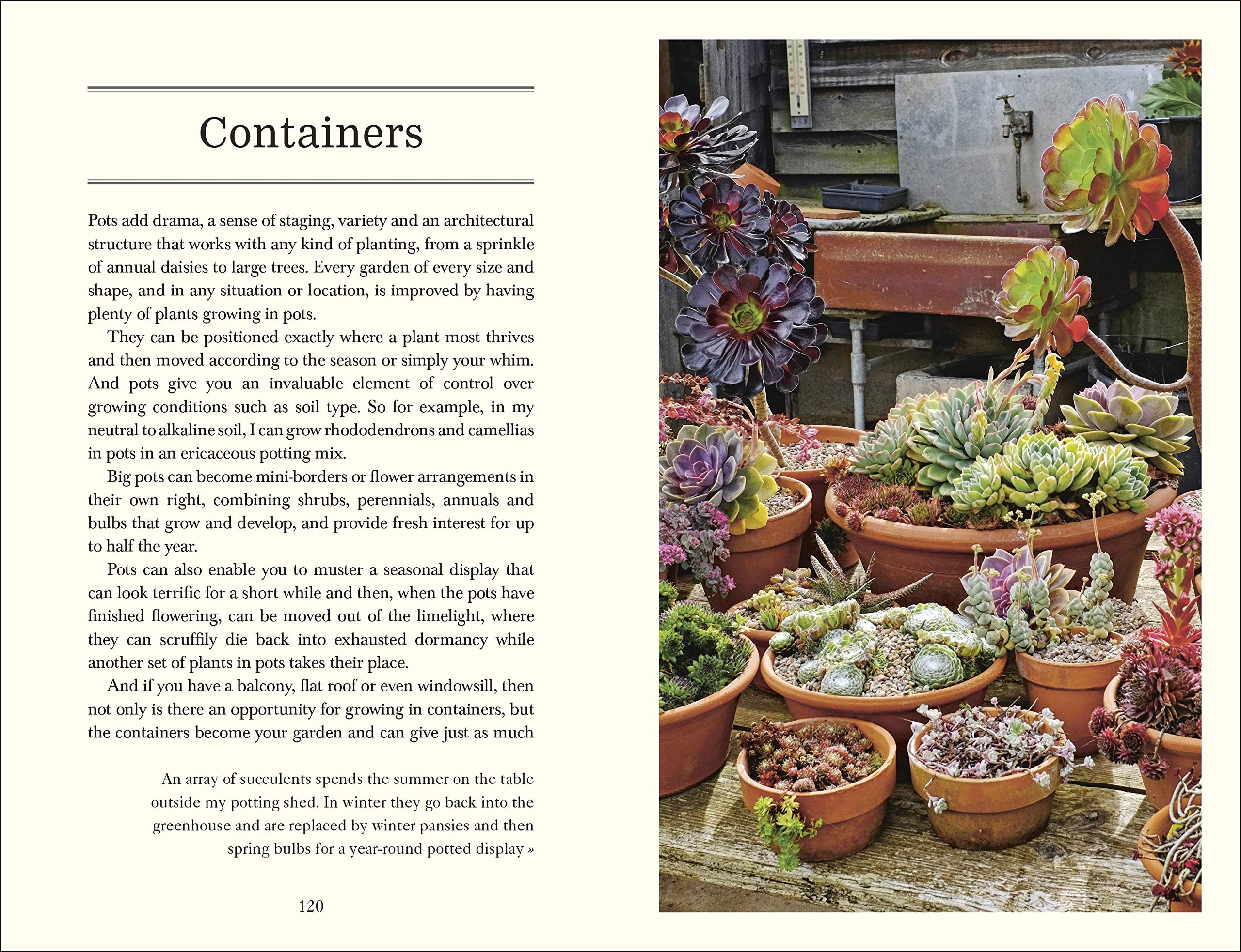 Down to Earth: Organic Gardening Tips & Wisdom for Home Gardeners | Grow Fresh Vegetables, Herbs & Flowers Easily