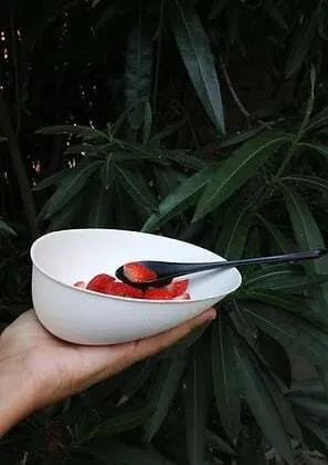 Eco-Friendly Black Spoon - Biodegradable & Durable Cutlery for Home, Travel, and Outdoor Dining | Perfect for Picnics, Camping, and Parties