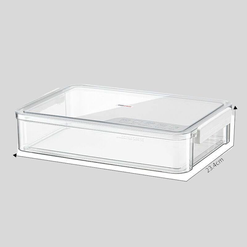 Collapsible Storage Bins for Home Organization - Large Clear White File Box, Document Holder, Instruction Card Keeper - Perfect for Office, Closet & Travel Storage