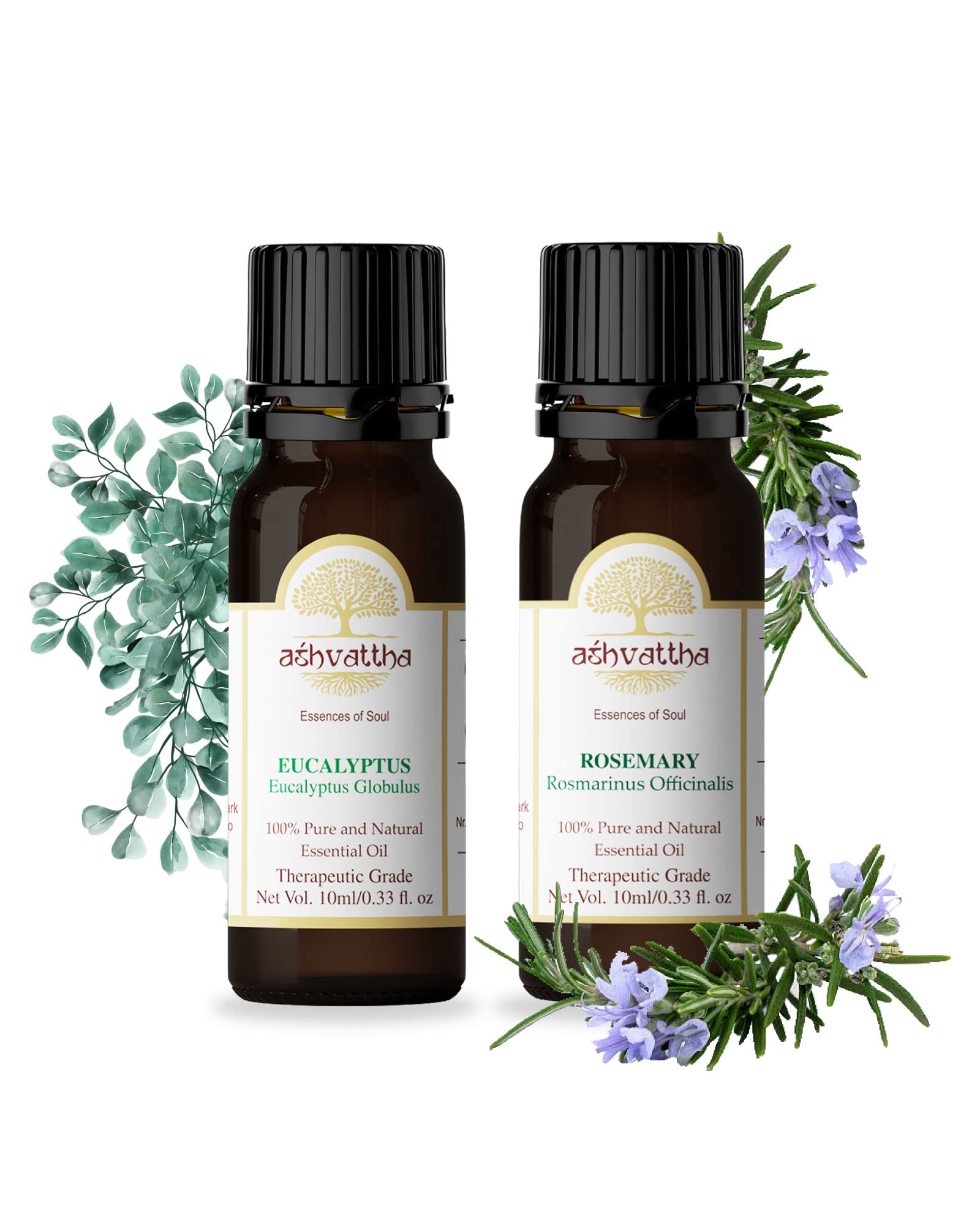 Pure & Undiluted Ashvattha Eucalyptus & Rosemary Essential Oil - 2x10ml Set for Aromatherapy, Massage, Diffuser & Stress Relief