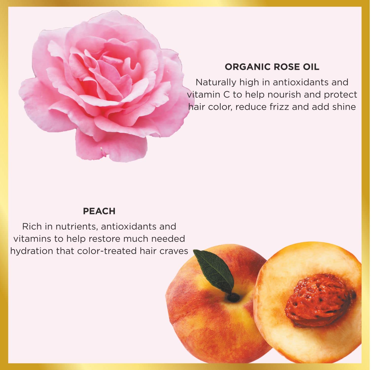 Hask Rose Oil & Peach Color Protection Deep Conditioner - 50ml Sulfate Free, Paraben Free, Gluten Free Hair Treatment for Dry, Damaged & Color-Treated Hair - Salon Quality Hydration & Shine for Women & Men