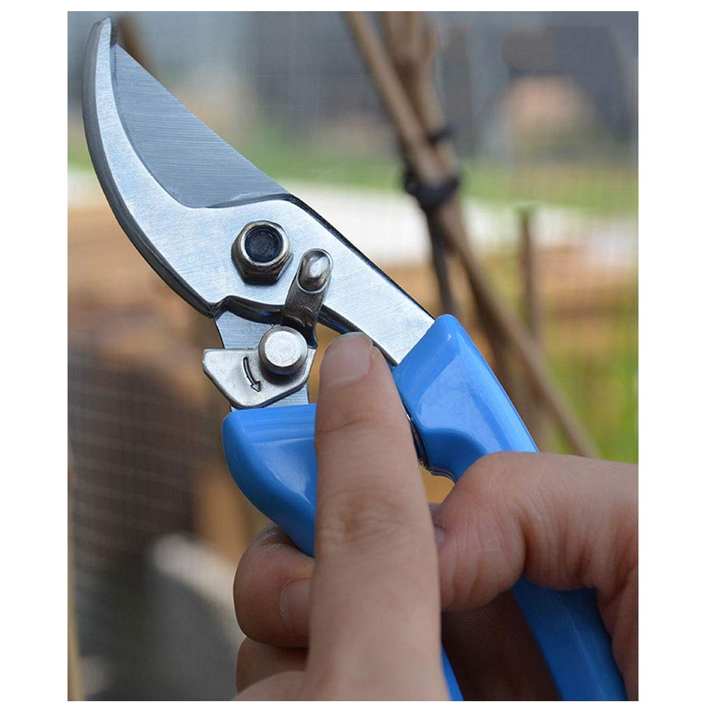 Premium Stainless Steel Bypass Pruning Shears - Sharp Garden Shears for Plants, Flowers & Shrubs - Ergonomic Non-Slip Handles - Ideal for Gardening, Landscaping & Outdoor Trimming