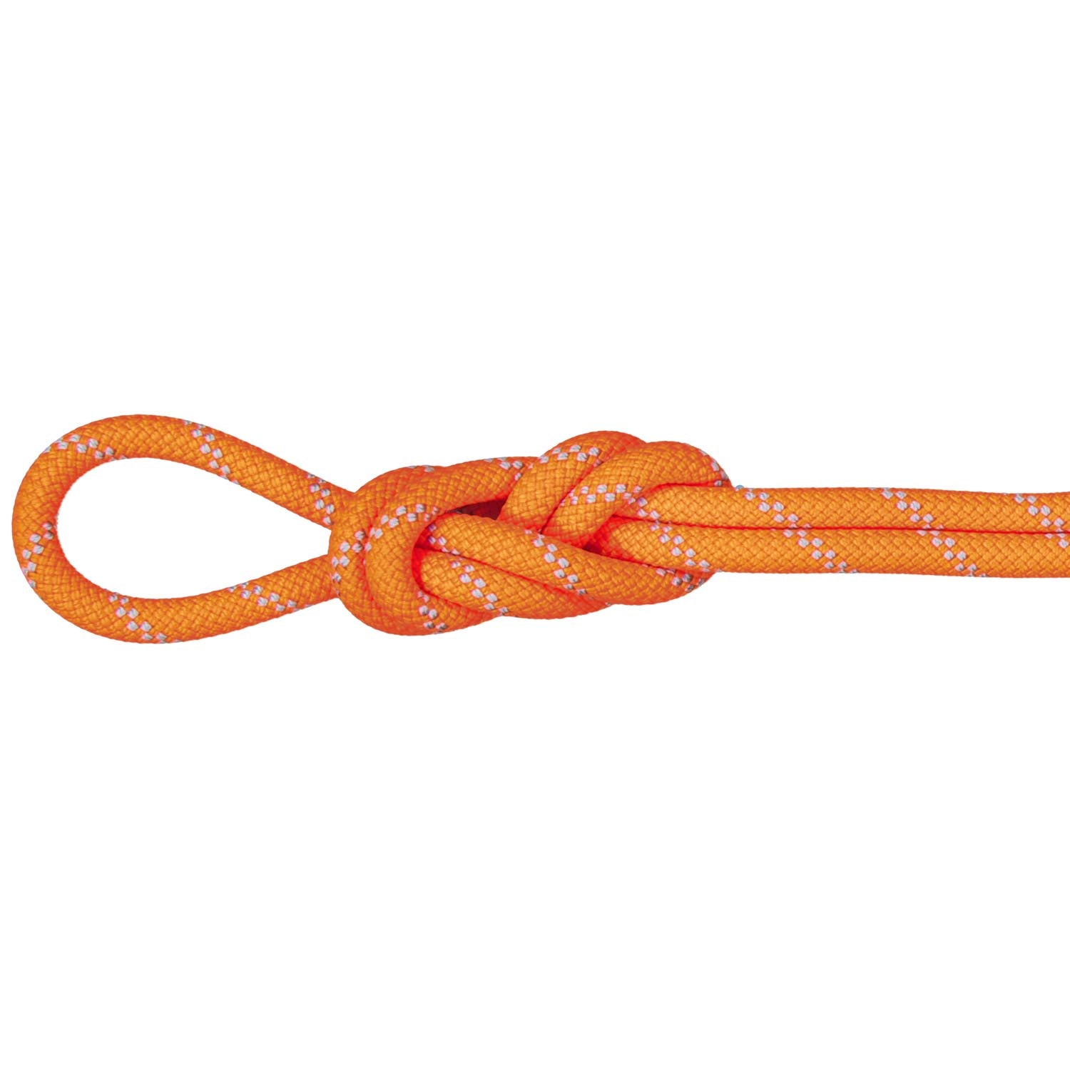 Mammut 9.5 Alpine Dry Climbing Rope - Waterproof & Durable for Rock Climbing, Mountaineering & Outdoor Adventures (Closeout Sale)