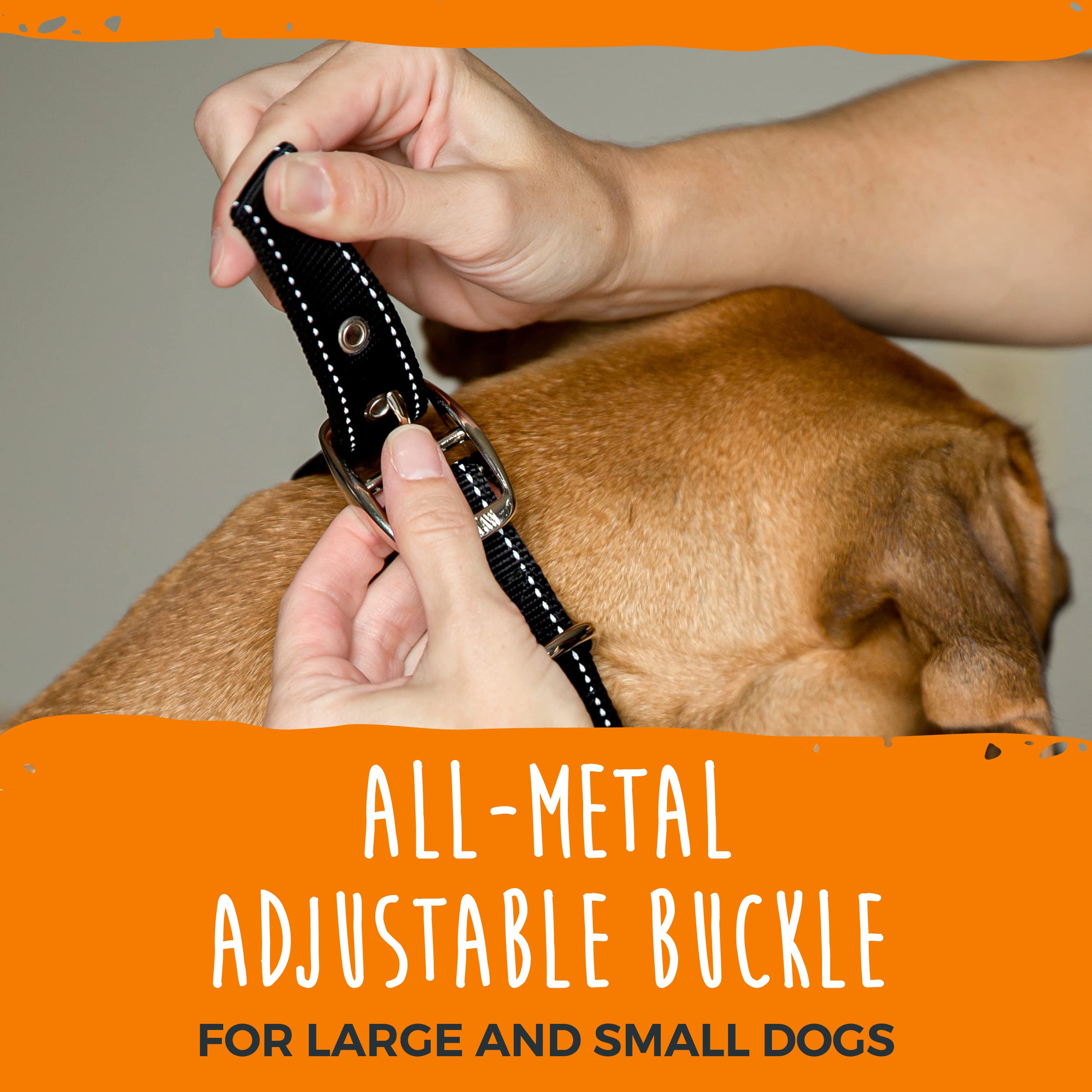 Mighty Paw Ultra Soft Dog Collar with Neoprene Padding - Adjustable All-Metal Buckle for Small & Large Dogs - Durable & Comfortable Pet Collar for Daily Walks, Training & Outdoor Adventures
