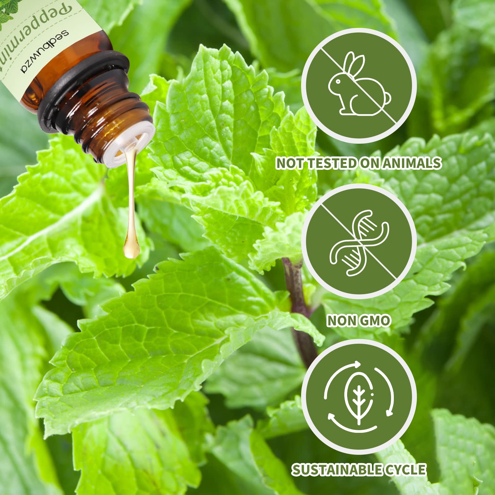 **Sedbuwza Peppermint & Orange Essential Oil Set (2 x 10ml) – Natural Aromatherapy Oils for Diffusers, Massage, Soap & Candle Making – Refreshing Scent for Relaxation & Stress Relief**    *(Use for home spa, yoga sessions, or creating a calming atmosphere in your bedroom or office.)*