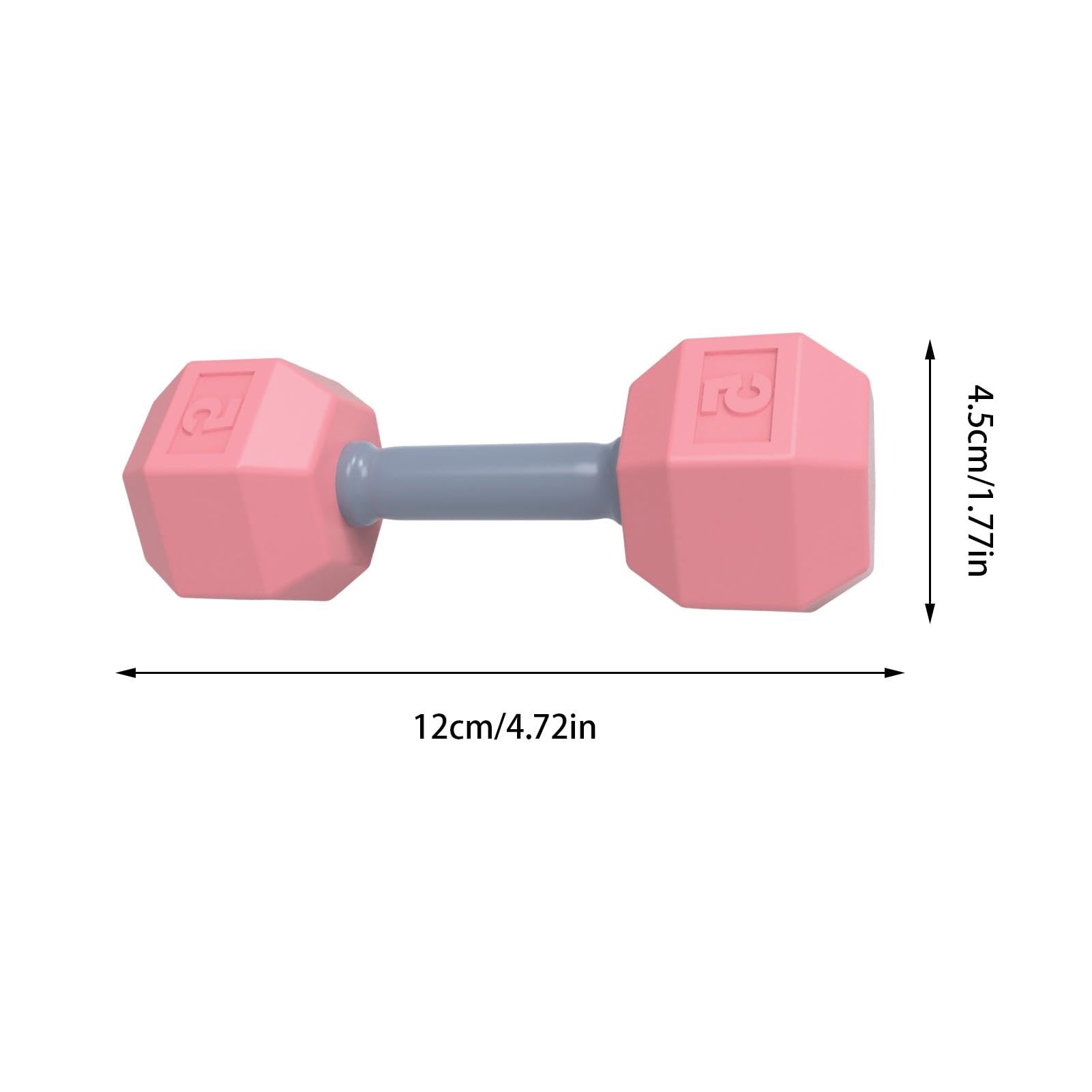 **Aizuoni Dumbbell Rattle Toy - 2-Piece Lightweight Sensory Gym Teether for Baby Workout & Exercise | Perfect for Teething, Sensory Play & Early Development**