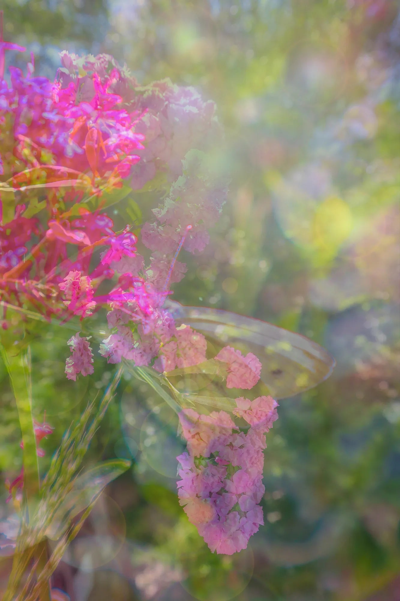 Jennifer Reynolds - Memory Brings Warmth to the Present | Thoughtful Gift for Birthdays, Anniversaries & Home Decor