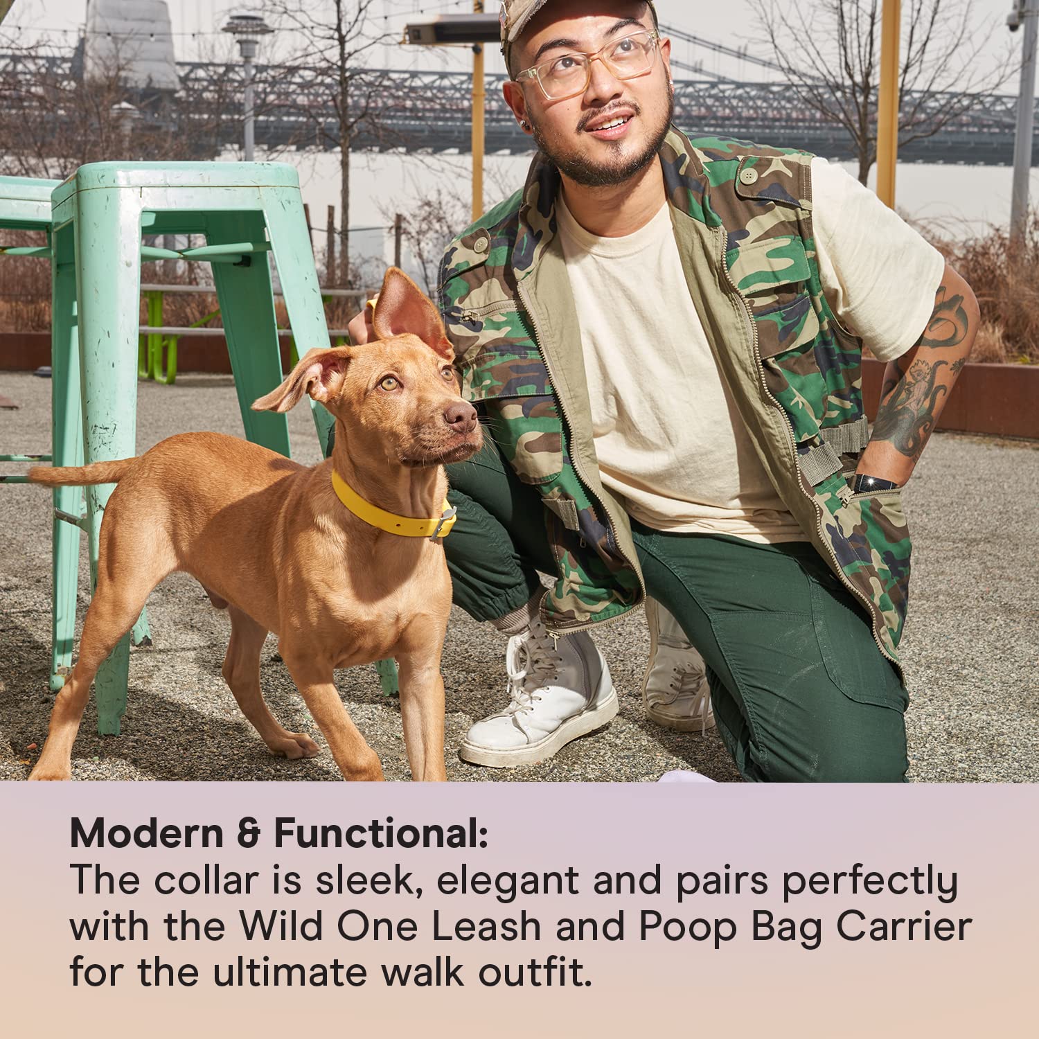 Wild One Dog Collar - Easy-Clean All-Weather Flex-Poly Strap with Metal Buckle | Durable, Odor & Dirt Resistant | Size S Butter Yellow | Perfect for Outdoor Adventures & Daily Walks