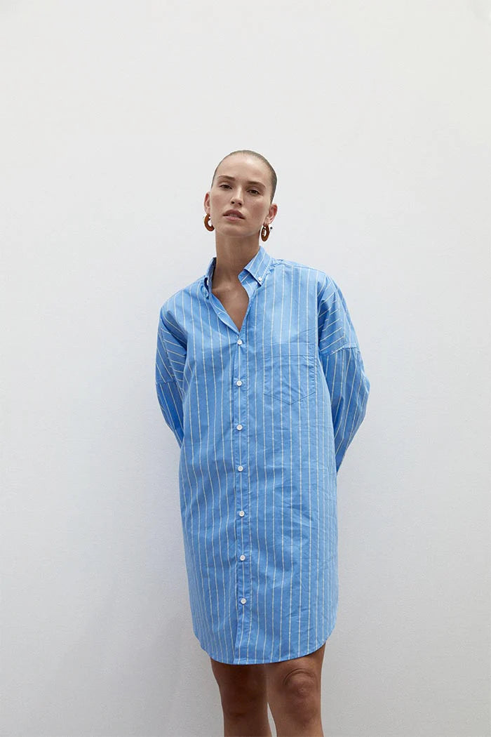 Stylish Blue Aster Dress for Women - Perfect for Casual Outings, Parties & Special Occasions