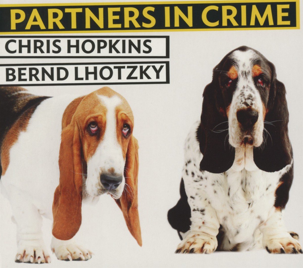 Partners in Crime - Best Selling Mystery Novel for Book Lovers | Perfect for Book Clubs & Cozy Reading Nights