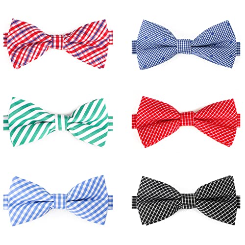 6pcs-diverse
