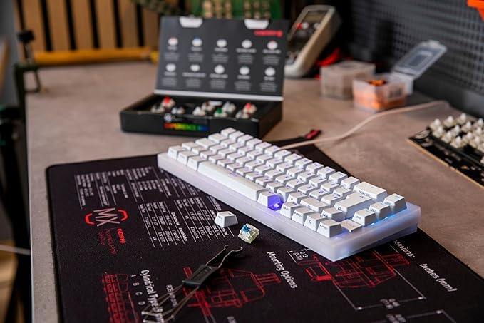 Cherry MX Switch Experience Box - 10-Pack Mechanical Keyboard Switches for DIY, Hot Swap & Gaming Keyboards | Official Cherry MX Switches for Typing, Gaming & Custom Builds