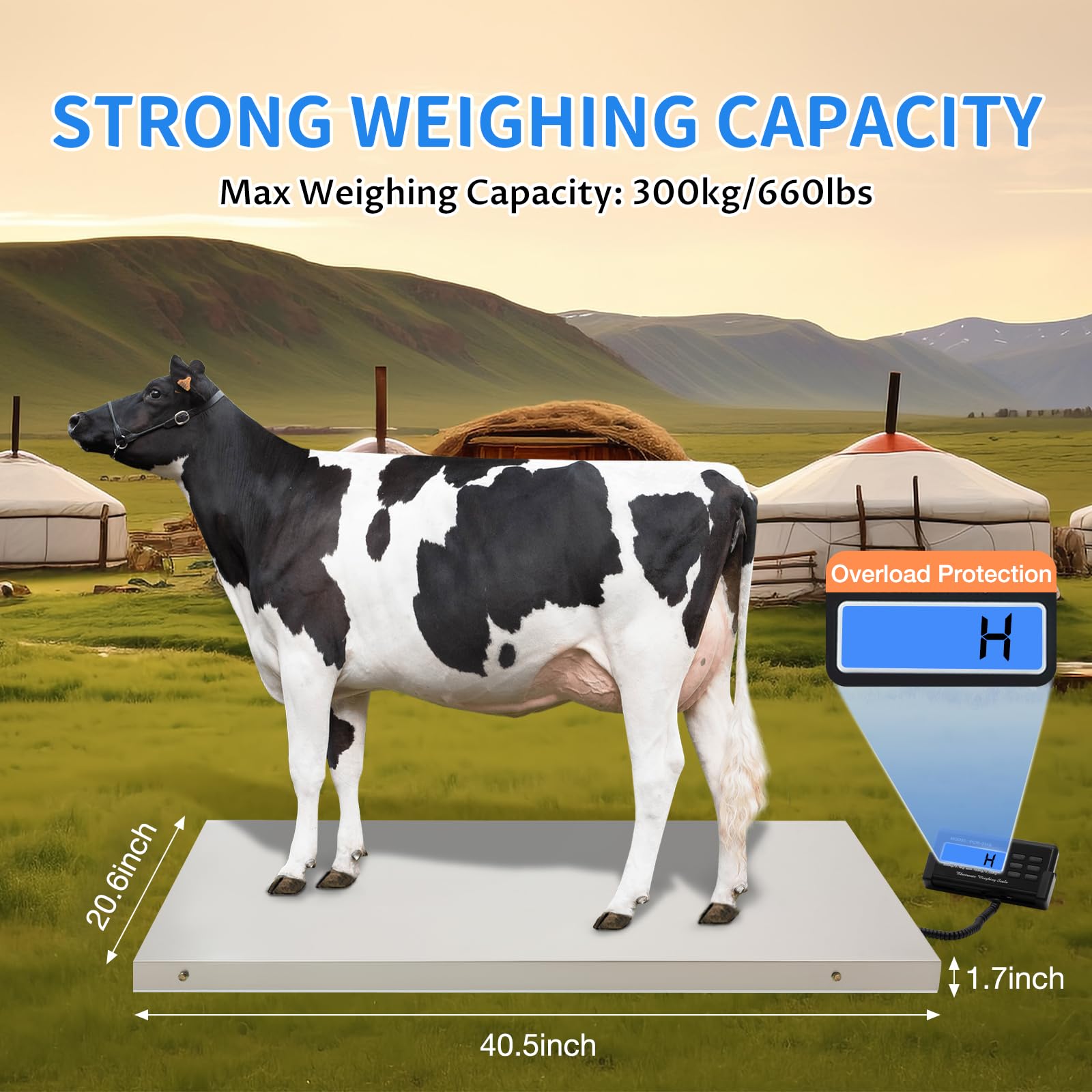 **Digital Pet Scale - Heavy Duty 300kg/660lb Stainless Steel Platform (41x21 Inch) for Dogs, Pigs, Livestock & Shipping - Accurate Industrial Floor Scale for Veterinary, Farm & Postal Use**