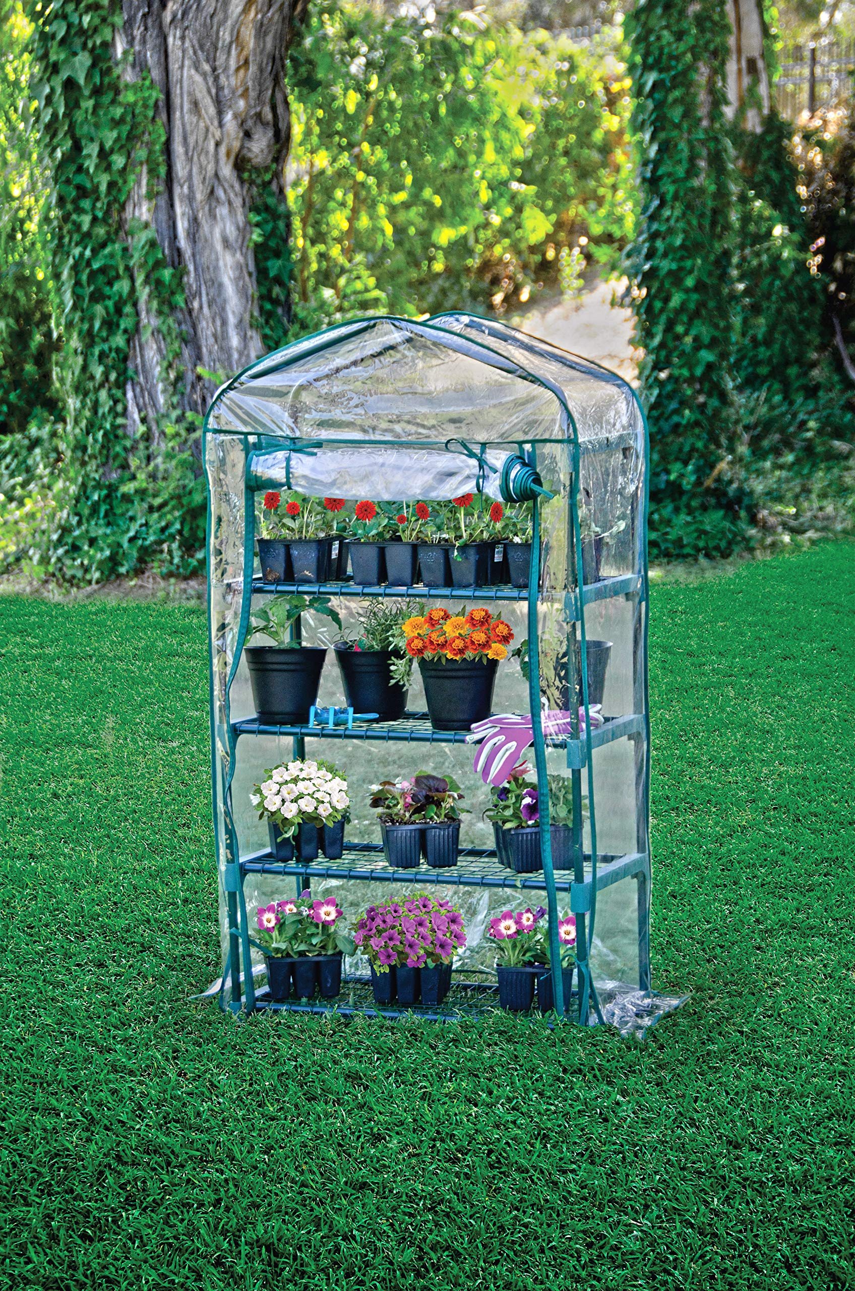 Bloom Small Greenhouse for Indoor Plants - Portable Mini Greenhouse for Seed Starting, Herb Garden & Plant Protection - Perfect for Home, Balcony & Backyard Gardening