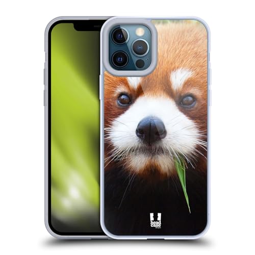 Red Panda