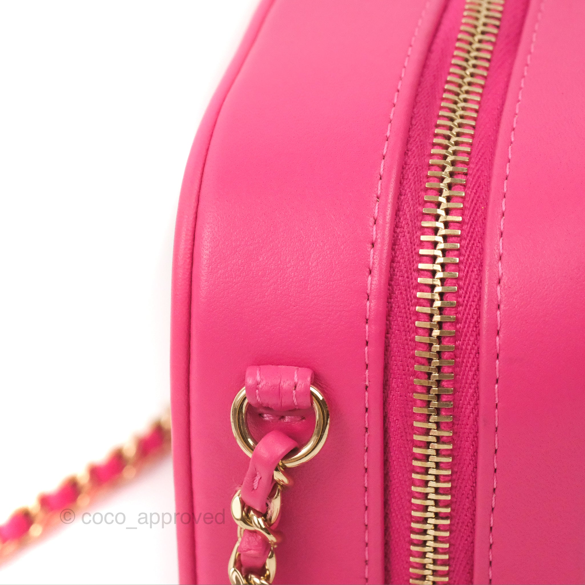Chanel CC Mania Camera Bag in Pink Lambskin Leather with Gold Hardware - Perfect for Everyday Use, Travel & Fashion Accessories