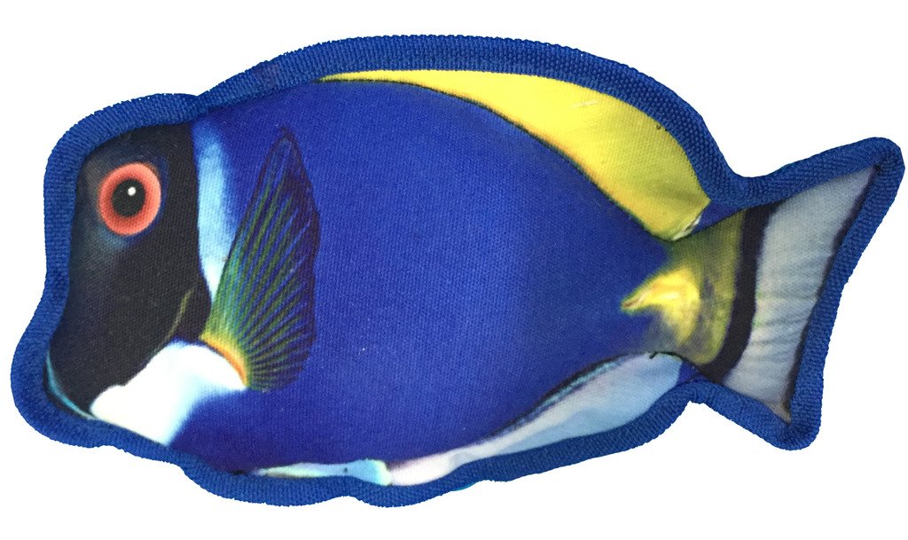 Dogline Tropical Fish Collection Dog Chew Toys - 10 Inch Blue Tang Plush for Small & Medium Dogs - Perfect for Playtime, Training & Cuddling