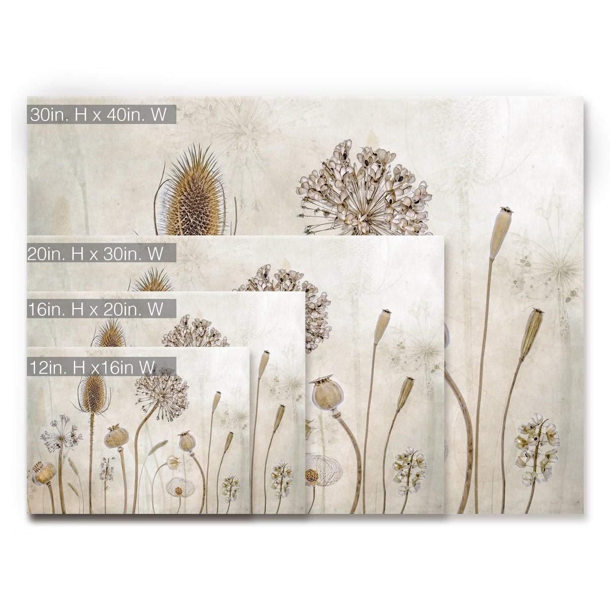 Ready2HangArt 'Growing Old' Floral Wrapped Canvas Wall Art - 30x40 Inches - Perfect for Living Room, Bedroom & Office Décor