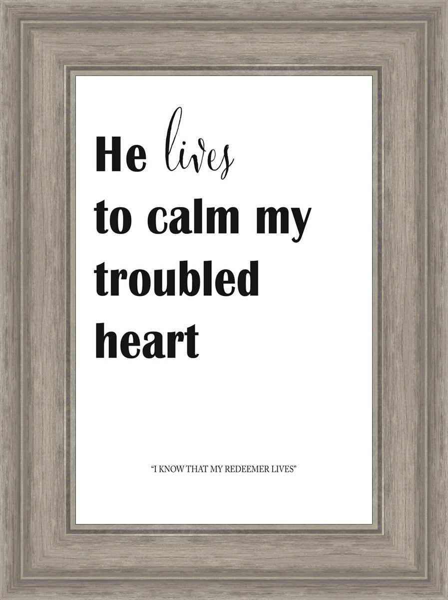 He Lives to Calm - Premium Relaxation & Stress Relief Essential Oil Blend for Aromatherapy, Meditation & Sleep - 100% Natural Therapeutic Grade for Diffusers, Massage & Home Spa