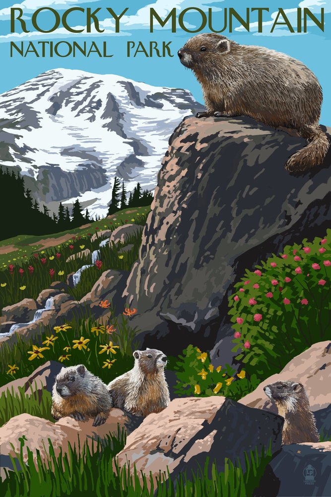 Rocky Mountain National Park Colorado Marmots Wall Art Poster - 12x18 Inches Wildlife Decor for Living Room, Bedroom & Office
