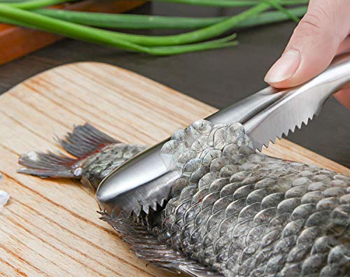WOIWO Stainless Steel Fish Scale Scraper - Durable Kitchen Tool for Removing Fish Scales Easily - Perfect for Home Cooking, Fishing Trips & Professional Chefs