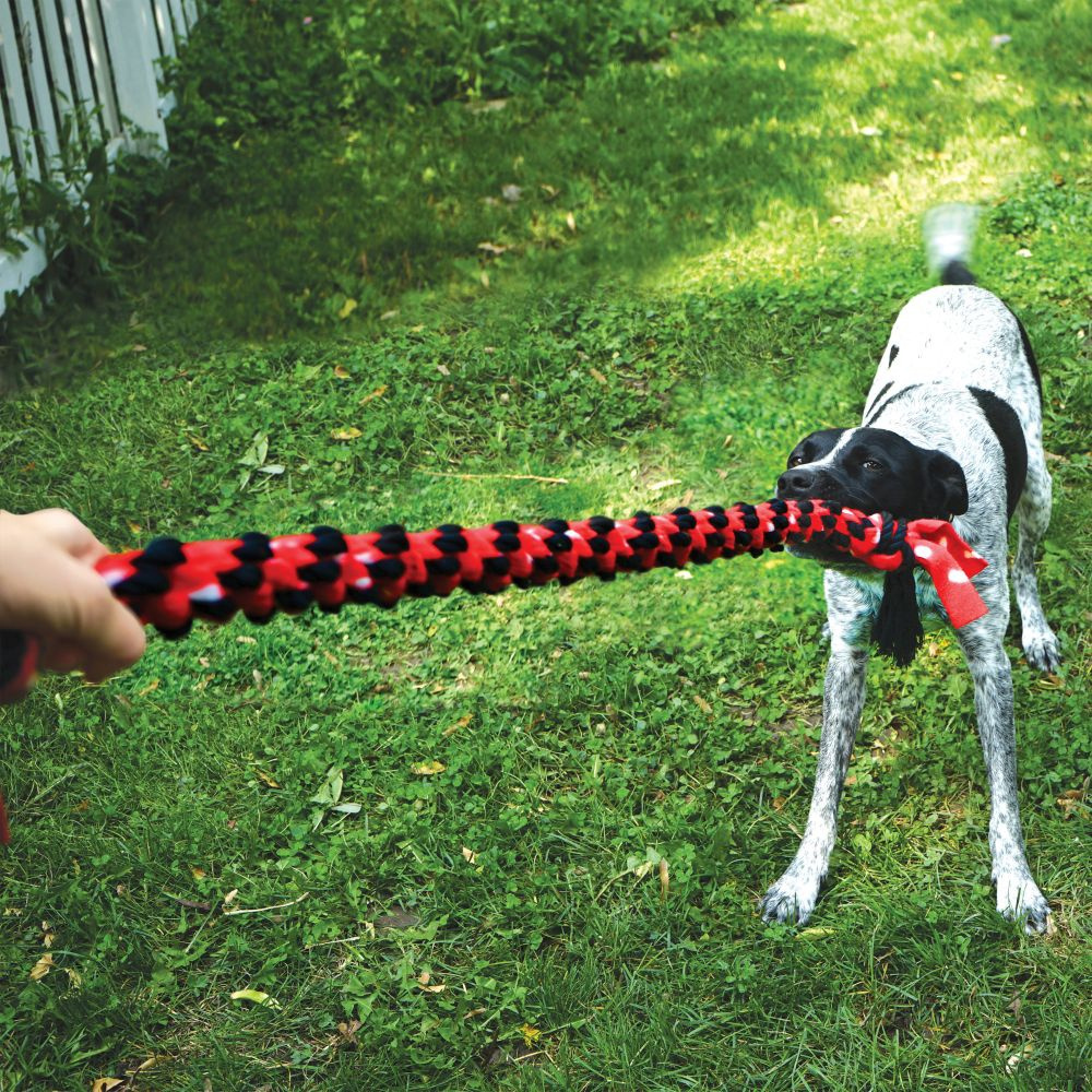 Kong Signature Rope Double Tug Dog Toy - Durable Chew Toy for Large & Small Dogs - Interactive Play for Bonding & Training - Perfect for Fetch, Tug-of-War & Outdoor Activities