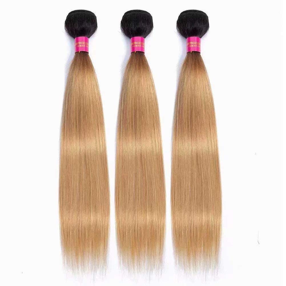 Ombre Brazilian Straight Hair 3 Bundles (18 20 22 Inch) - 1B/27 Honey Blonde 8A Unprocessed Virgin Human Hair Extensions for Weaving - Perfect for Salon Styling, Everyday Wear & Special Occasions