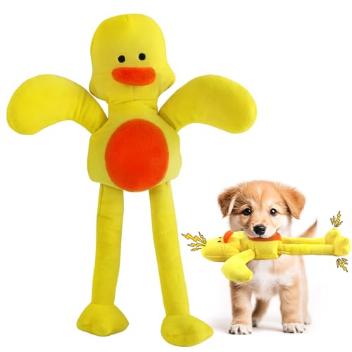 Yellow&Duck