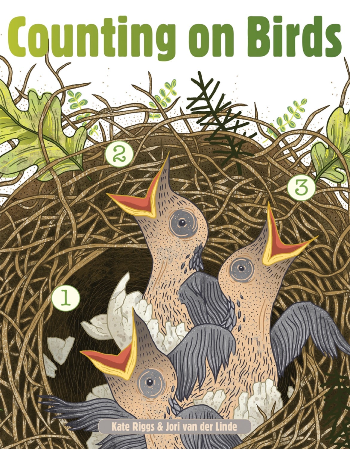 Counting on Birds - Fun & Educational Bird Counting Game for Kids | Perfect for Outdoor Learning & Nature Exploration