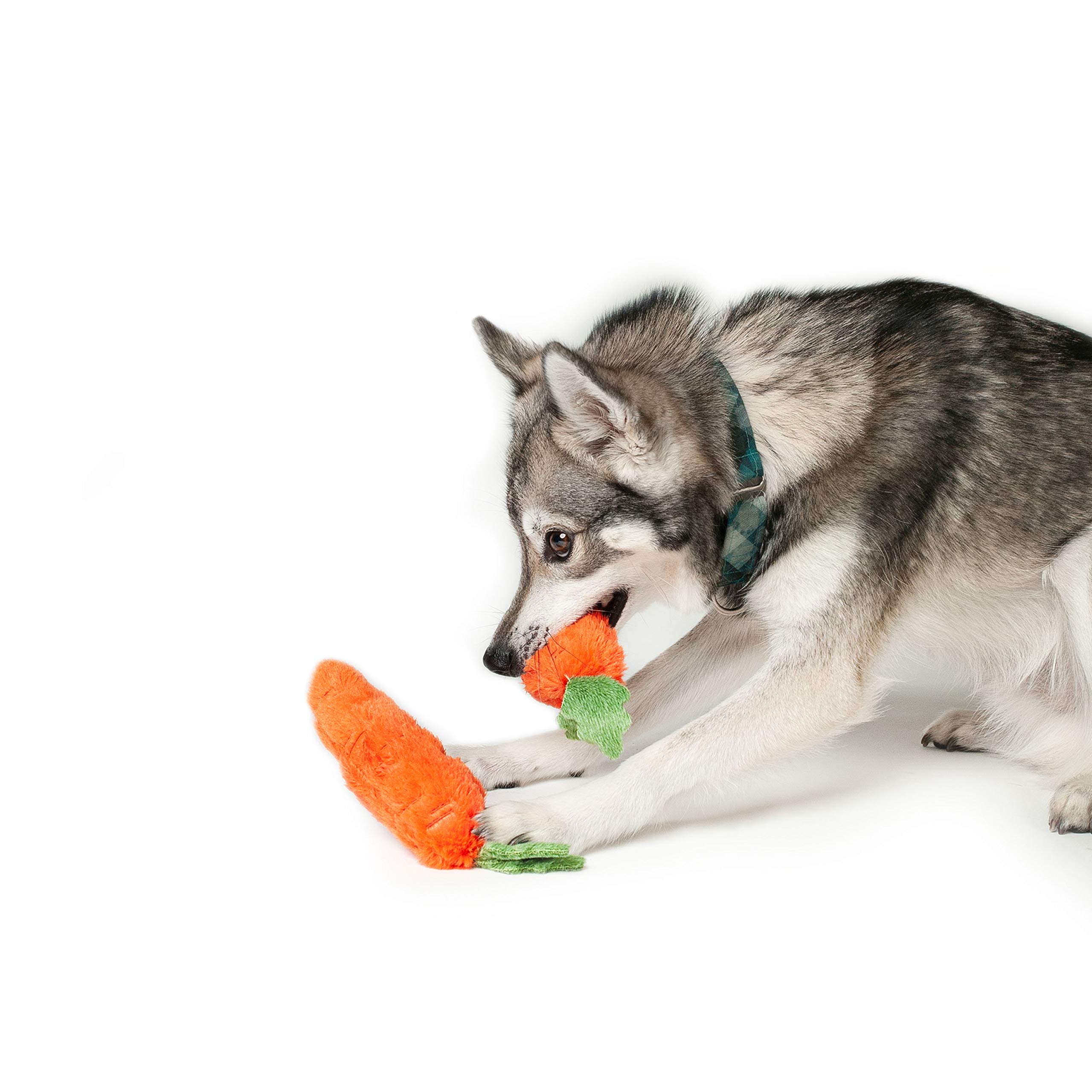 Midlee Plush Carrot Easter Dog Toy - Soft Chew Toy for Small & Medium Dogs - Pack of 2 - Perfect for Easter Gifts, Training Rewards & Playtime Fun