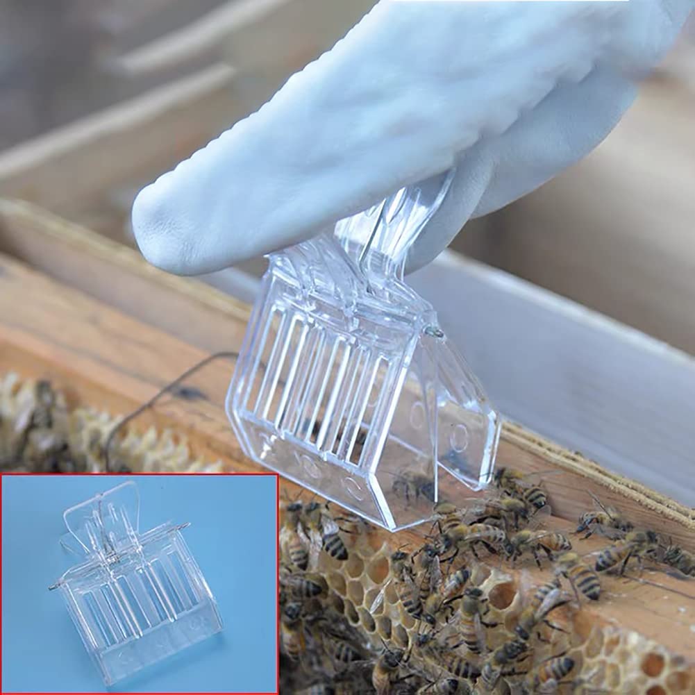 GSHLLO 5-Pack Clear Plastic Queen Bee Clips - Beekeeping Supplies for Catching & Transporting Queen Bees - Essential Beekeeping Tools for Hive Management & Bee Breeding